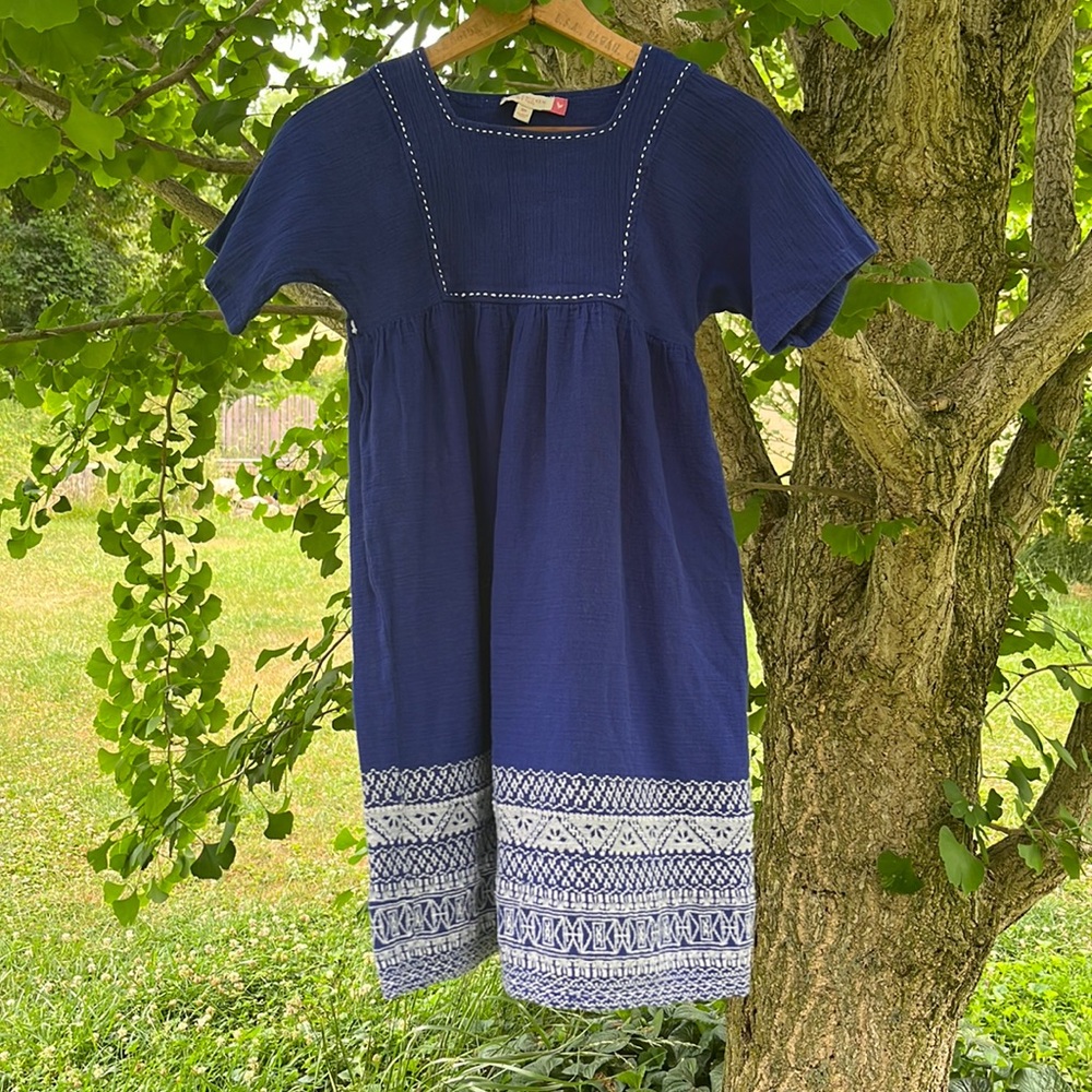 Blue Pink Chicken Dress Size 10Y